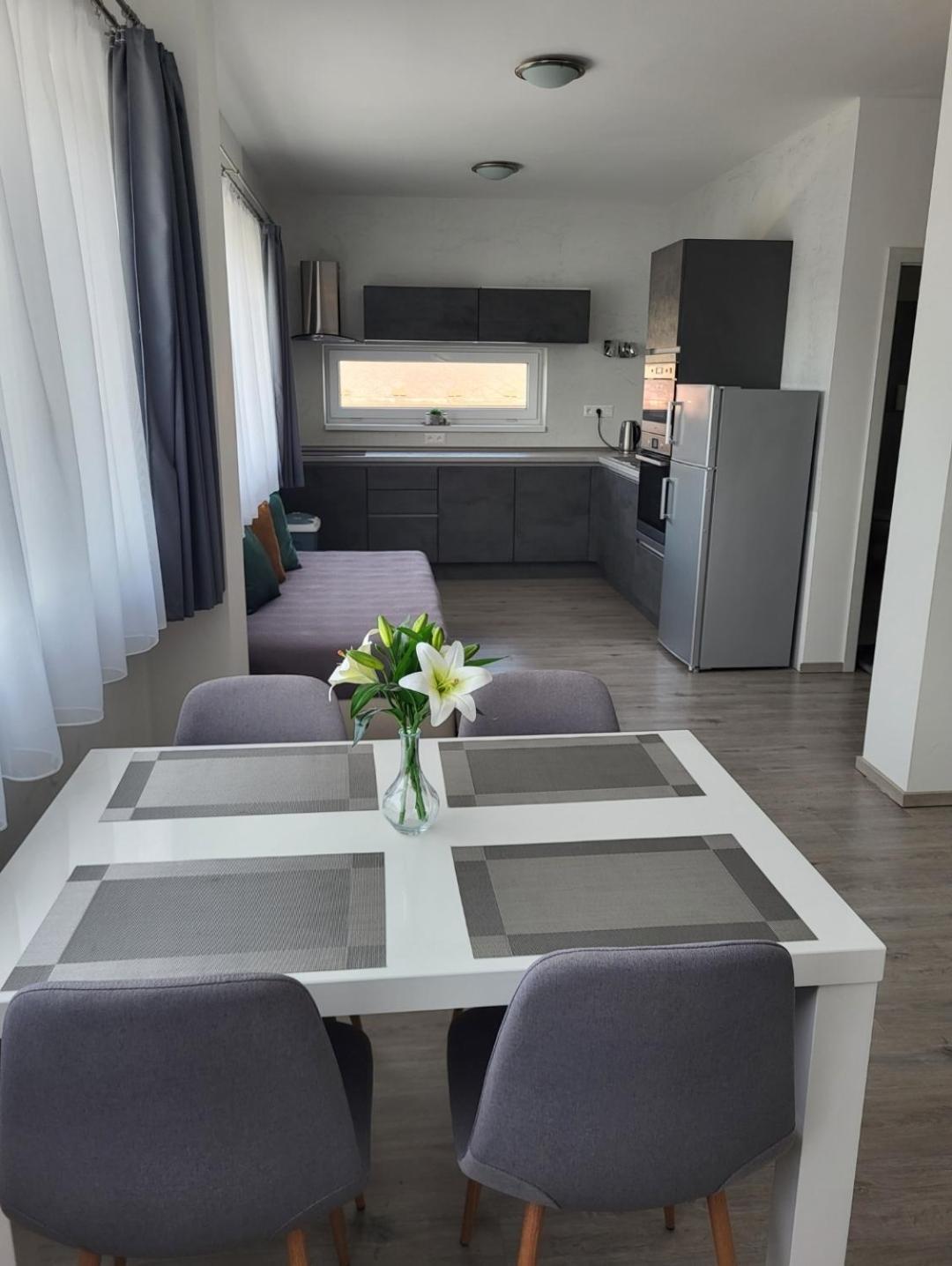 Apartman Gabriela Roudne Eksteriør bilde